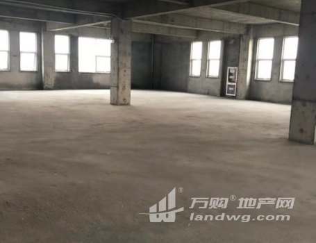 胜浦镇 占地30亩 18000方多层厂房 一楼6米 楼上每层4.5米