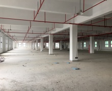 (出租) 吴江运东 新建厂房35000平 有卸货平台 独门独院 可分租
