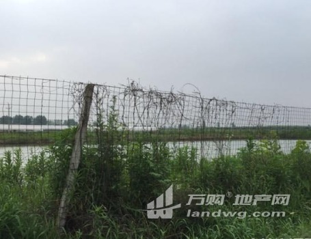合肥长丰县双墩镇101亩设施农用地（含鱼塘）