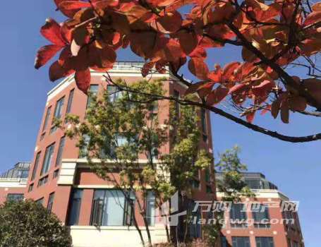 江宁大学城 50年产权 独栋办公楼 可按揭 独立花园 附赠电梯地下车库