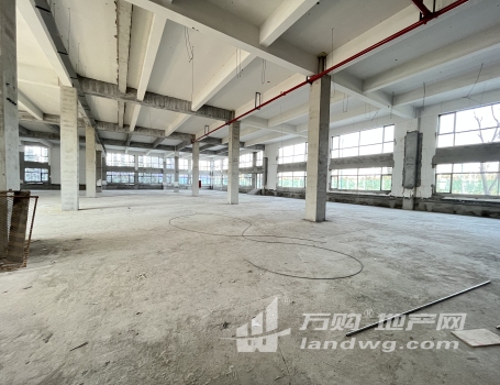 南京江宁九龙湖商圈保税区内可厂房可办公6.6米挑高可分割
