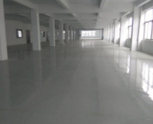 新区旺庄2800平超漂亮轻厂房，适合电子办公与展厅