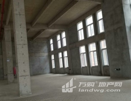 出租个人全新南京经济开发区厂房仓库写字楼