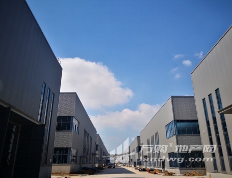 南京及周边标准工业厂房定制厂房出售