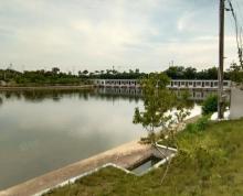 (出租)出租湖熟成熟农庄占地50亩整体出租鱼塘茶园应有尽有