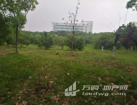 [W_140285]南京市江宁区300亩工业用地转让