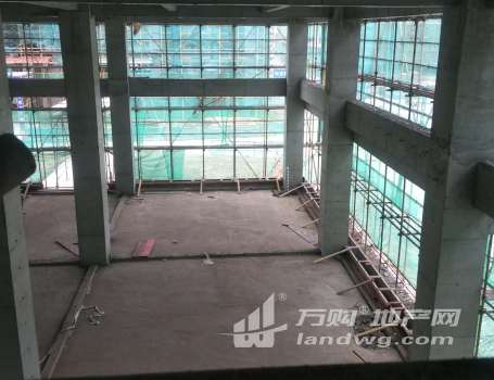  50年产权工业用地 层高9米 南京市稀缺2层 可定制