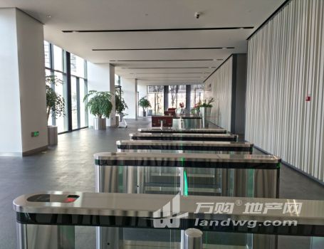 河西元通双地铁核心（南京金融城）精装带家具 5A标杆总部优选