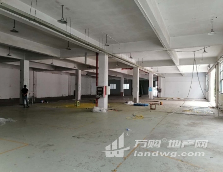 江宁区九龙湖正规一楼1750平厂房适合轻工业和仓储