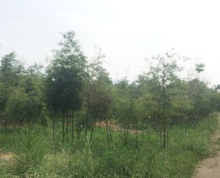 杭州临安市太湖源2000亩生态农业观光地