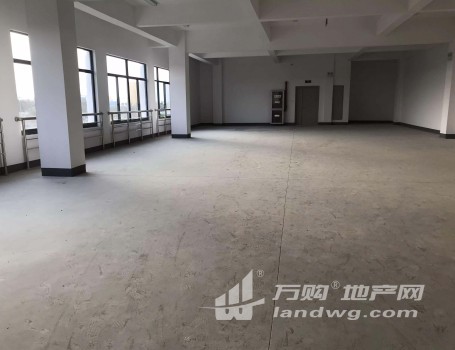 (出租)出租新区旺庄长江路1100平优质单层厂房