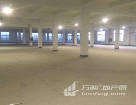 新区长江路2800平超漂亮厂房，适合电子办公与展厅 