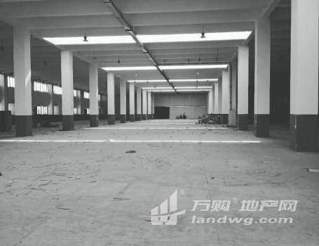 南京经济开发区近十月广场全新厂房出租