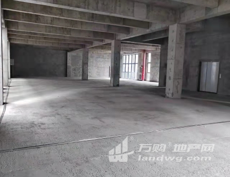 苏州张家港 1300㎡ 厂房出售层高8.1米 跨度20米 配电80KVA 可环评