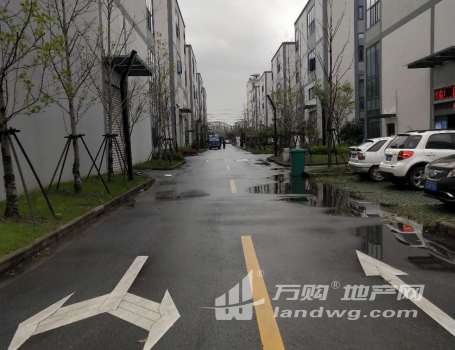 上海边 稀缺准现厂房 50年单独产权证