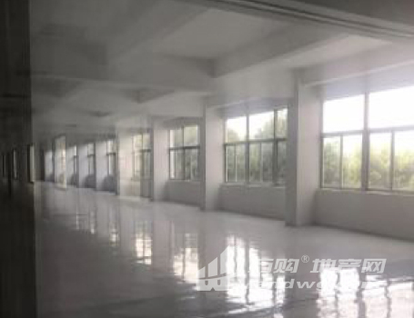 出租新区旺庄长江路附近4766平研发 办公 厂房 