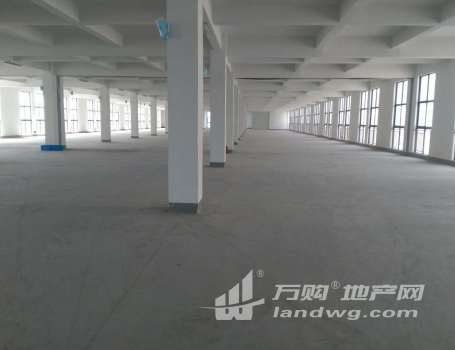 独门独院吴江城南友谊开发区8600平米层高4.5米