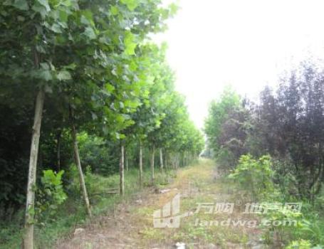 江西吉安安福县3874亩林地