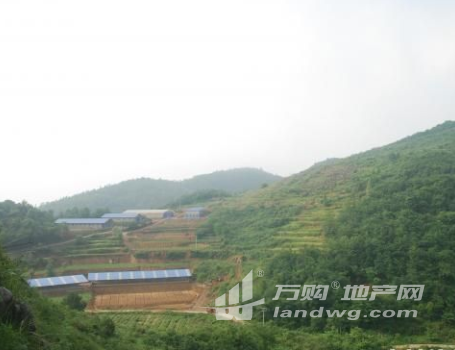 贵州黔东南210国道2000亩养殖场