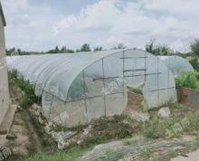 (出租)一般农业用地大棚种植苗木鱼塘可以建简易房靠近河流随时看租期长