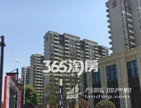 江北新区高新核心区位 南京大学后门 精装单身公寓