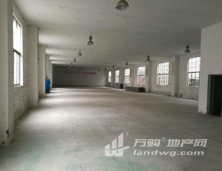 (出租)新区旺庄底层1100平厂房仓库有吊顶可办公耐磨地面 