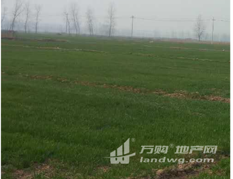 泗阳县裴圩镇1000亩耕地