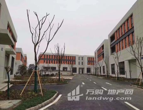南京 江北 全新 标准 厂房 有产证 可贷款 可分期