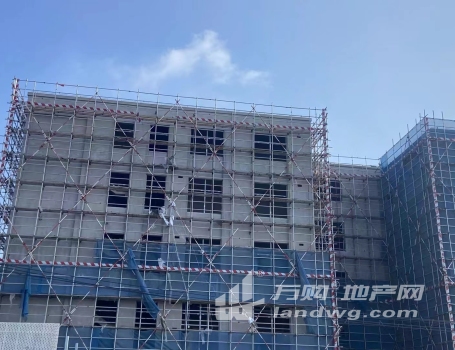 江北新区全新食品园区厂房出售，生产、研发、办公一体化、可定制 