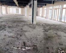 (出租)江宁托乐嘉 独栋物业 地铁口 交通方便 可医院 月子中心