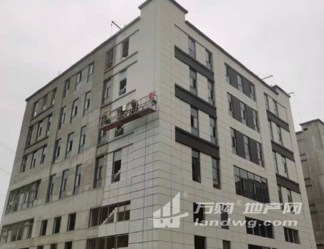 江北智荟港 化工园地铁站 标准园区厂房 层高8.1米 可按揭 可环评