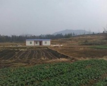 徐州睢宁县1000亩土地
