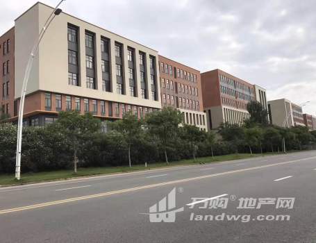 九龙湖东南大学对面 全新3000平厂房 对外出租