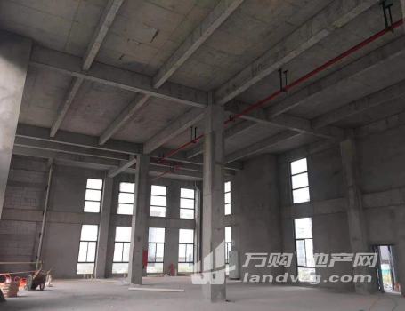 售 南京 江北全新标准厂房办公楼 首层8.1米 50年产权 3成首付