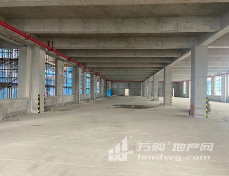 南京政企合作柱距10米的大平层厂房招商进行中