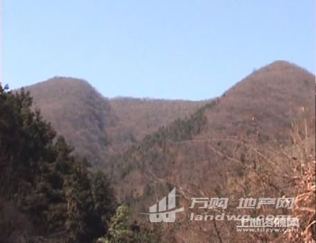 安徽宣城泾县200多亩山地转包合作