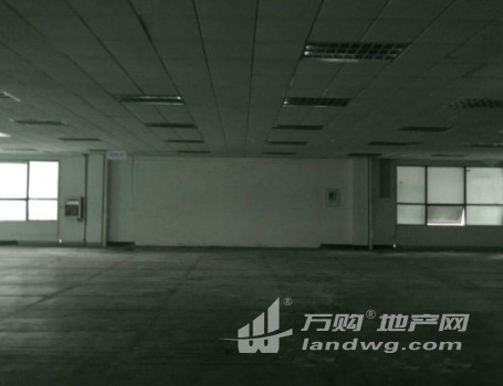 新区旺庄4000平高标准电子厂房出租，外企走一波
