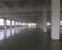 旺庄2.7万平优质厂房评估价出售