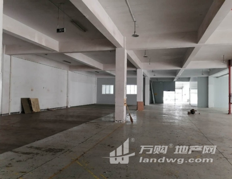 江宁区九龙湖正规一楼1750平厂房适合轻工业和仓储