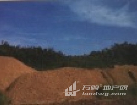 [W_166471] 江苏德力金属矿产有限公司印尼项目（项目有限期20年）