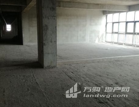 南京经济开发区近十月广场全新厂房出租