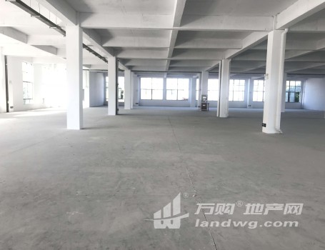 (出租)出租新区旺庄长江路1100平优质单层厂房