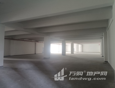 吴江汾湖新建多层厂房出租，可喷漆，喷涂。